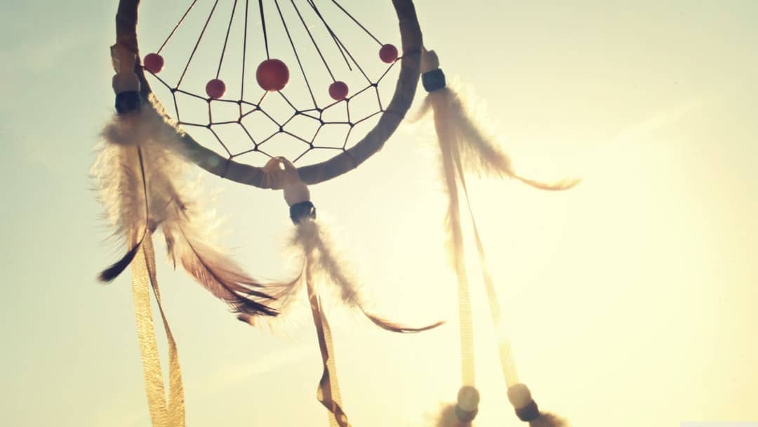 Photo Dreams, Symbols