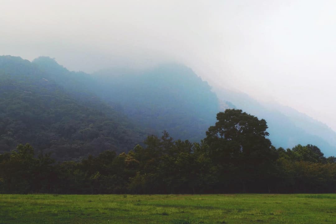 Photo Dreamscape