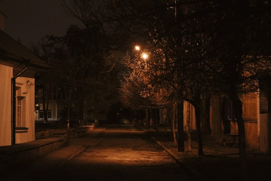 Nachtschatten