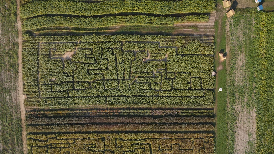 Photo Agrarische Symboliek