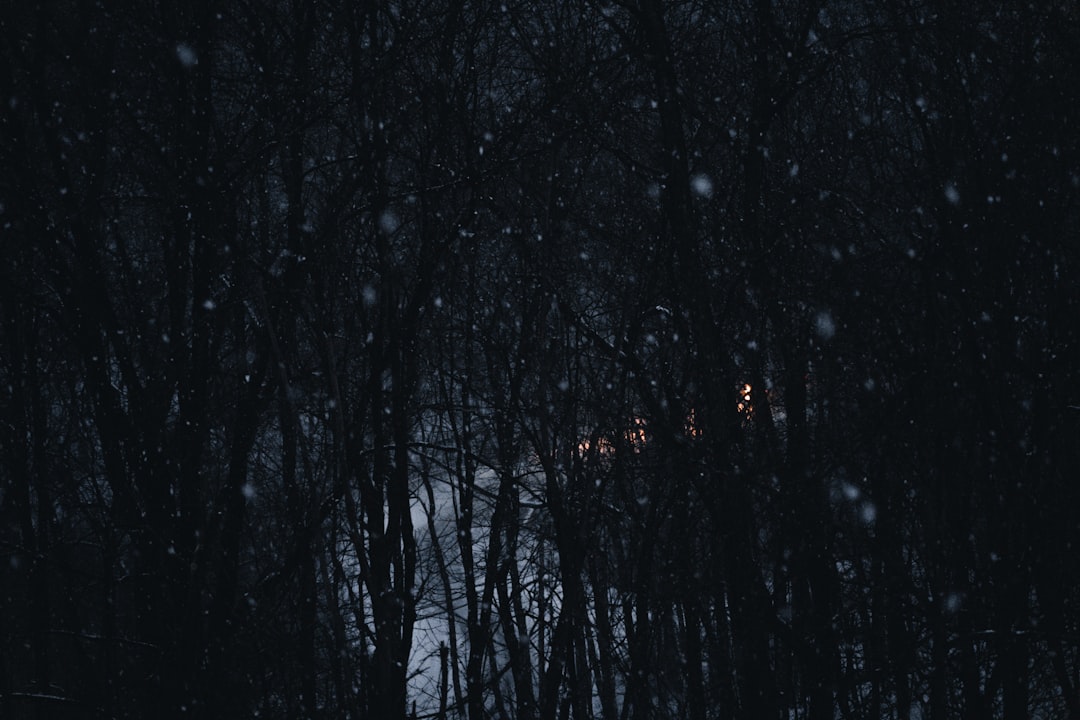 Photo nachtelijke symbolen